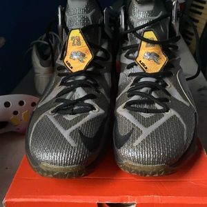 nike lebron 12 flight